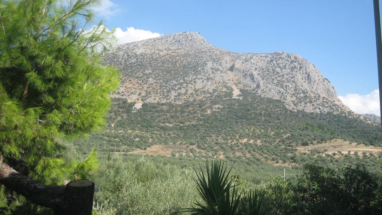 Photo of Outdoor in Messolonghi