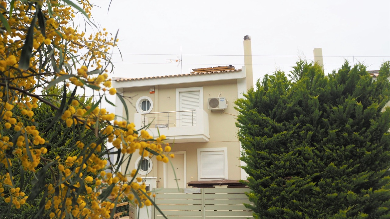 Photo of Outdoor in Palaia Fokaia