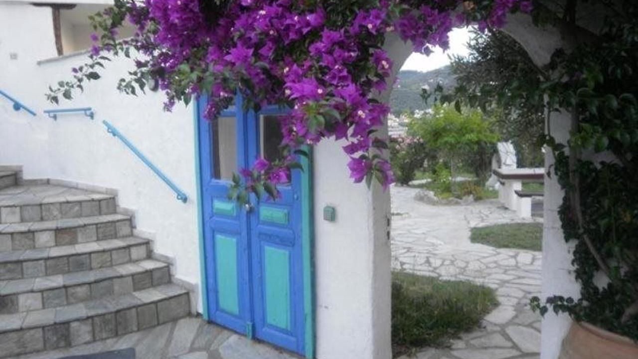 Photo of Outdoor in Skopelos