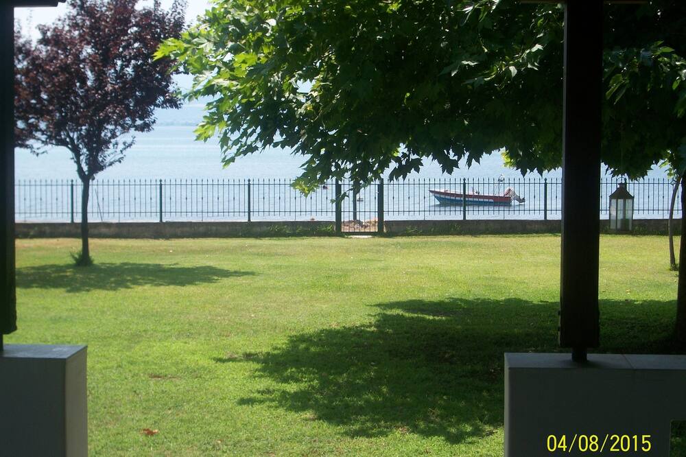 Photo of Outdoor in Stylida