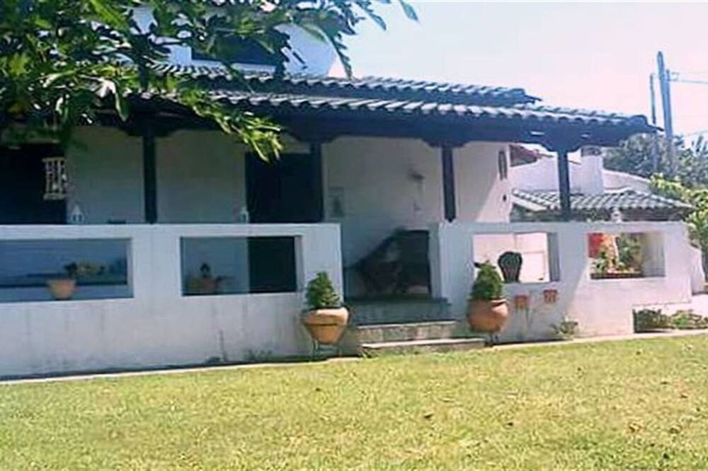 Photo of Others in Stylida