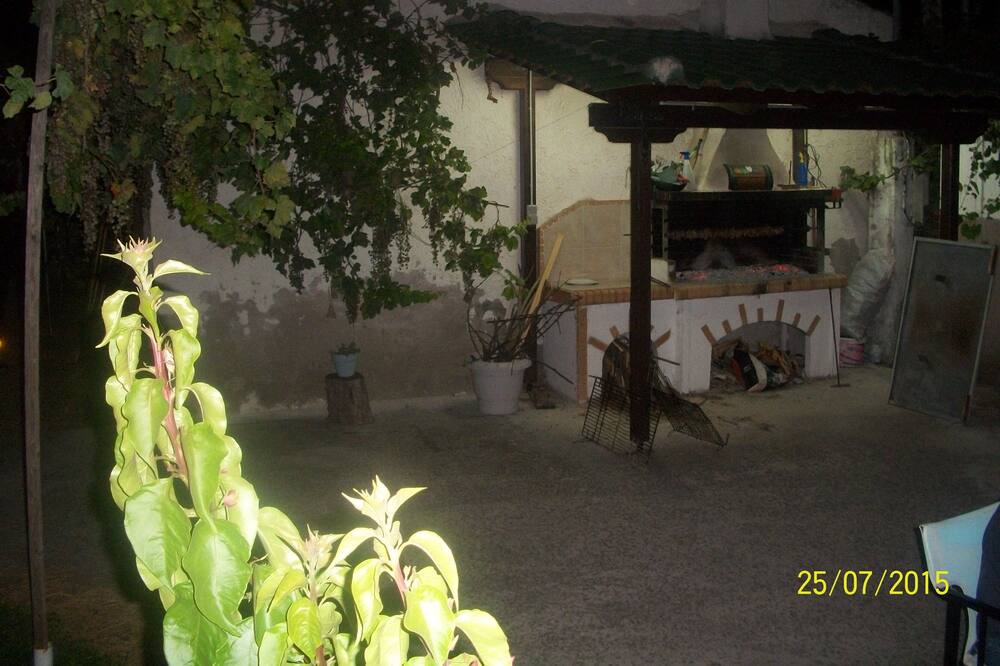 Photo of Outdoor in Stylida