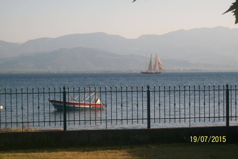 Photo of Others in Stylida