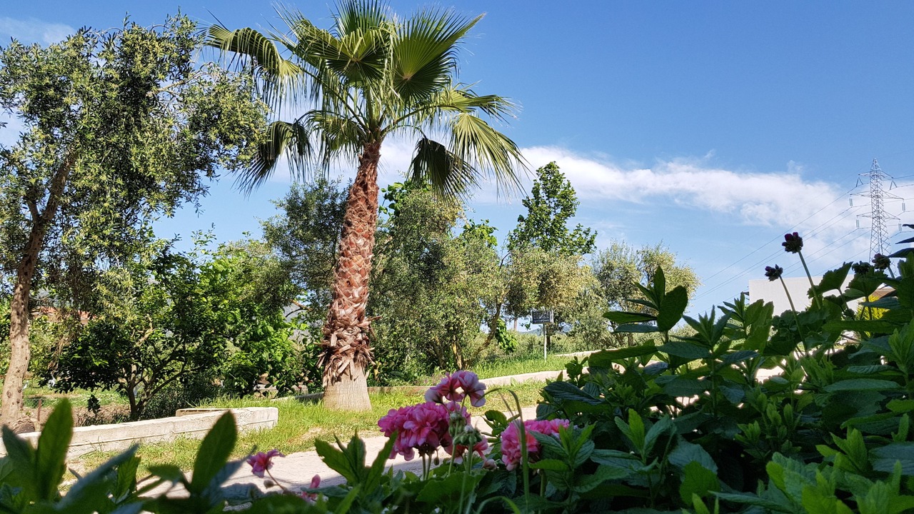 Photo of Outdoor in Vonitsa