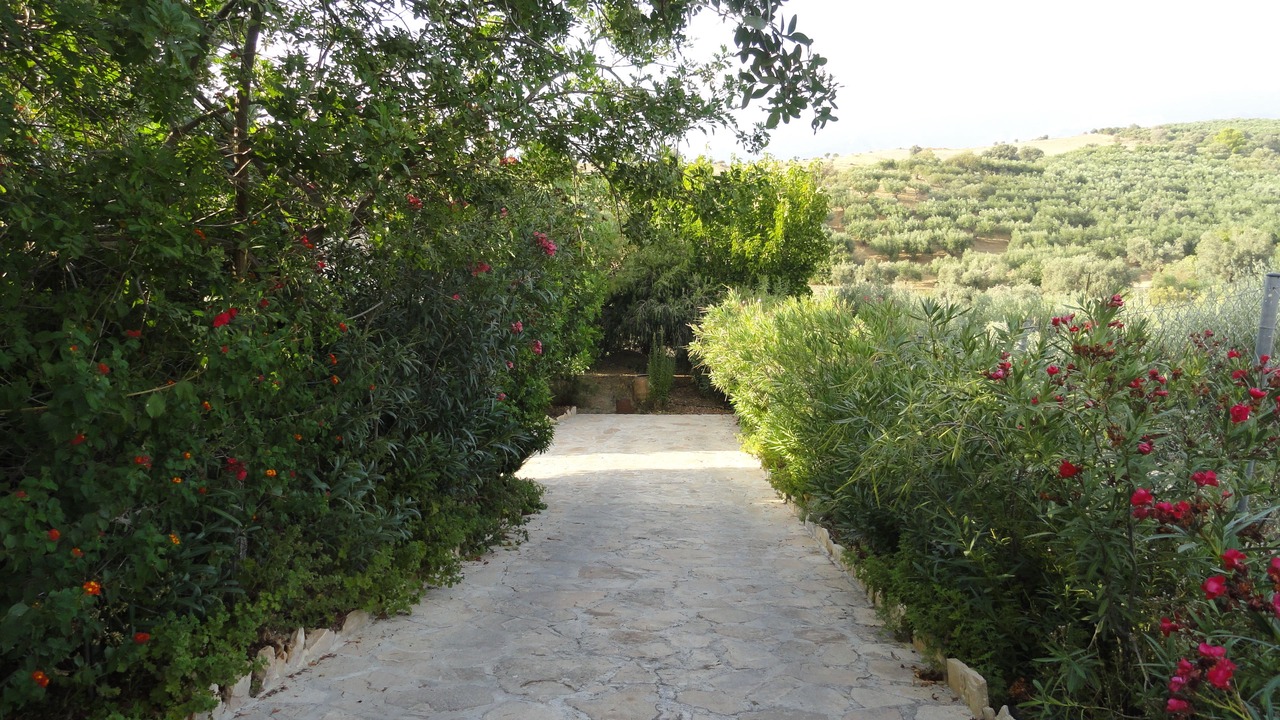 Photo of Outdoor in Faistos