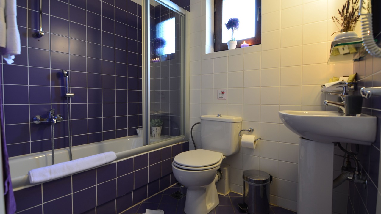 Photo of Bathroom in Synikia Mesi Trikalon