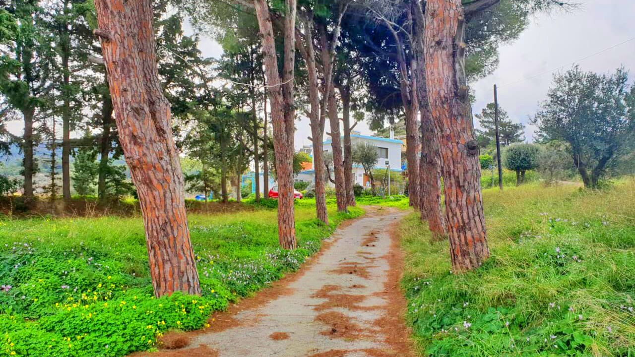Photo of Outdoor in Petaloudes