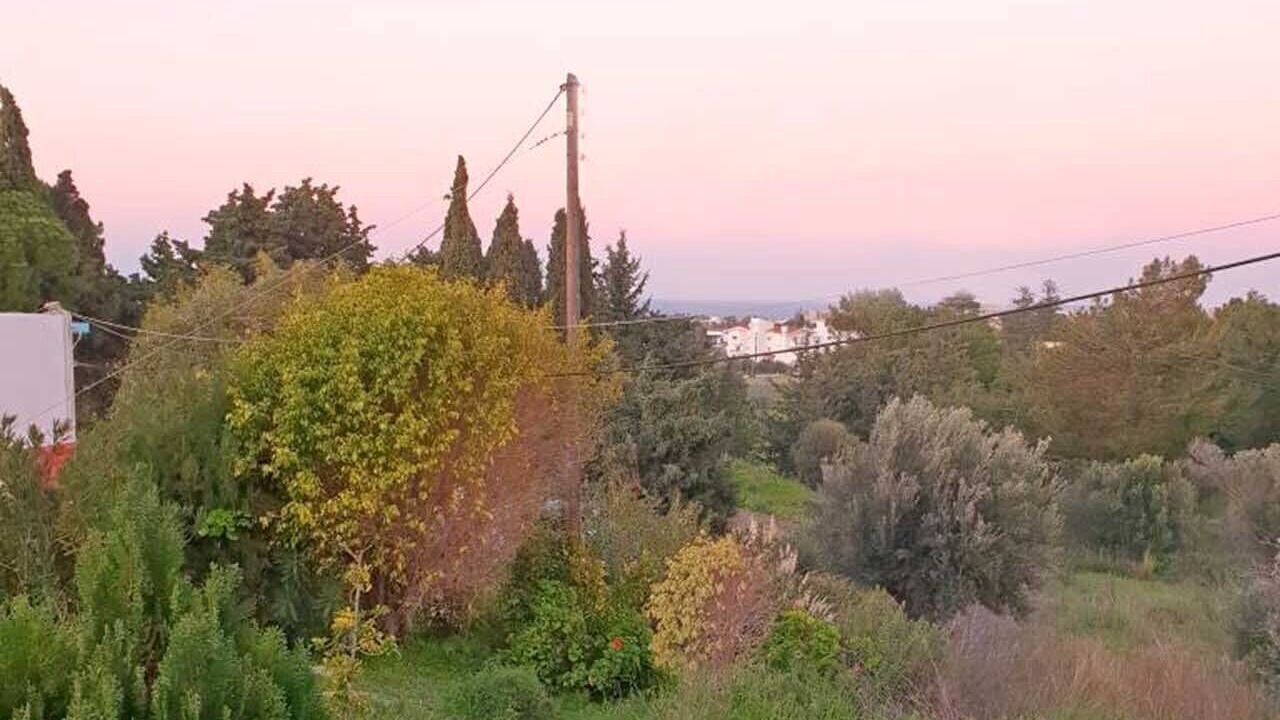 Photo of Outdoor in Petaloudes
