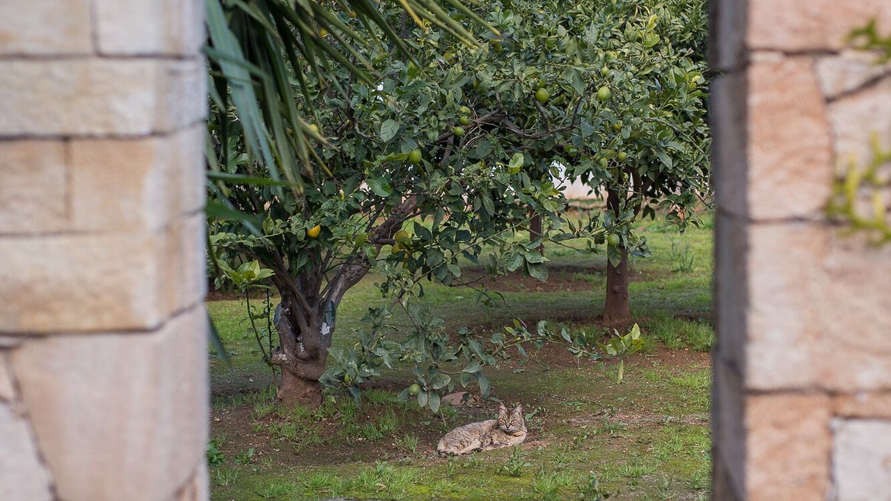 Photo of Outdoor in Sternes