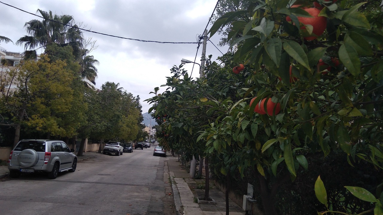 Photo of Outdoor in Alimos