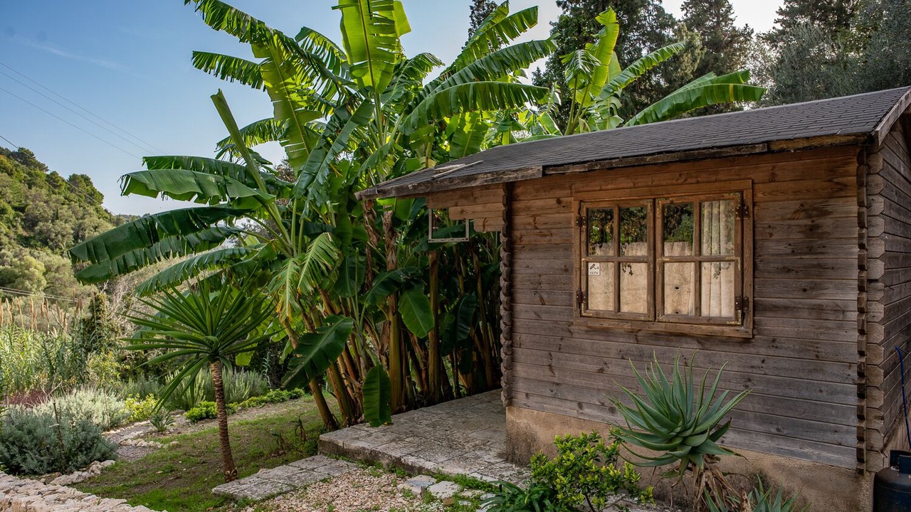 Photo of Outdoor in Pelekas