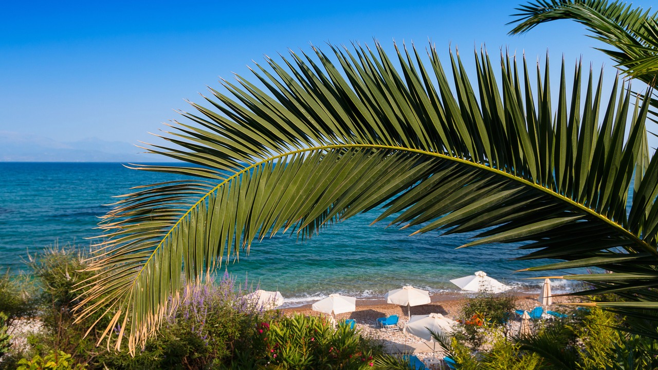 Photo of Outdoor in Petalidi