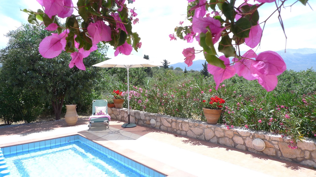 Photo of Outdoor in Vamos