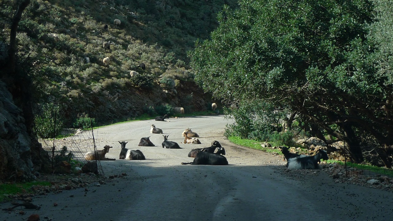 Photo of Outdoor in Vamos