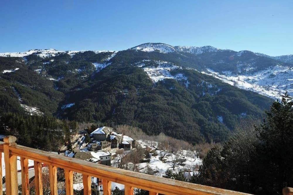 Photo of Others in Metsovo