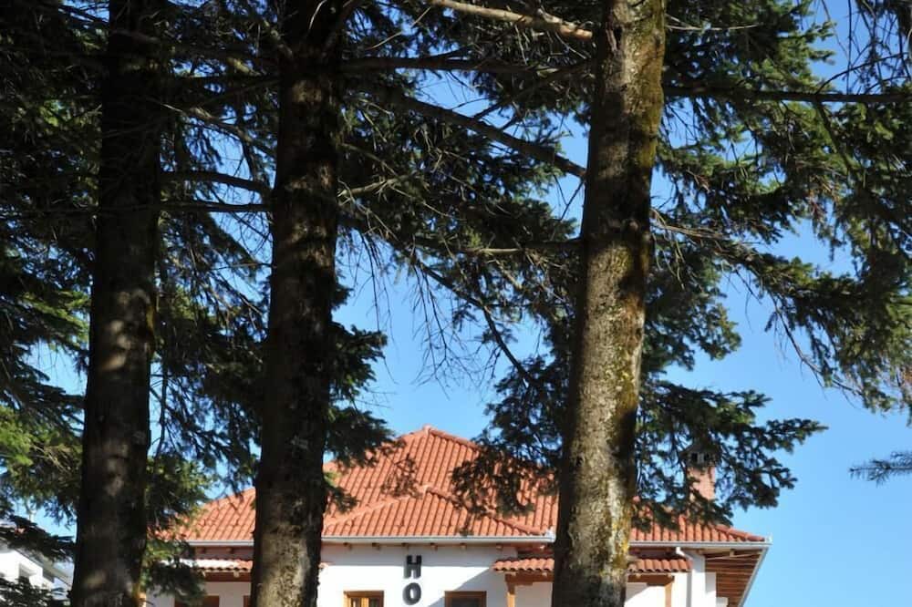 Photo of Outdoor in Metsovo