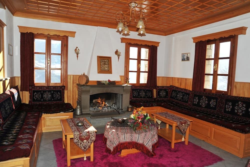 Photo of Livingroom in Metsovo