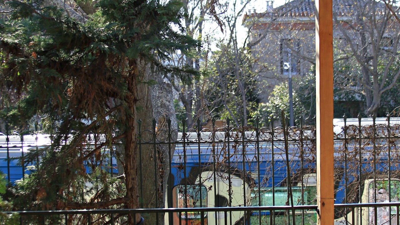 Photo of Outdoor in Kifisia