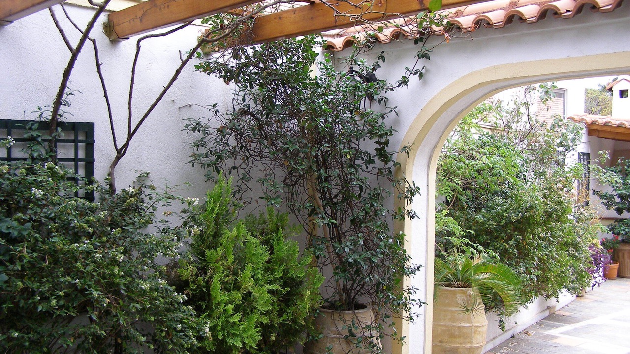 Photo of Outdoor in Kifisia