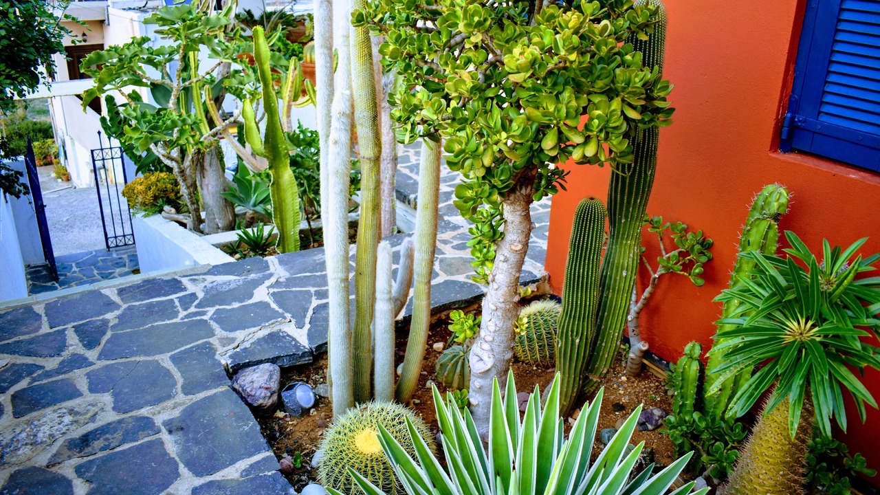 Photo of Outdoor in Sissi
