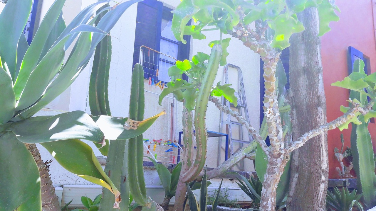 Photo of Outdoor in Sissi