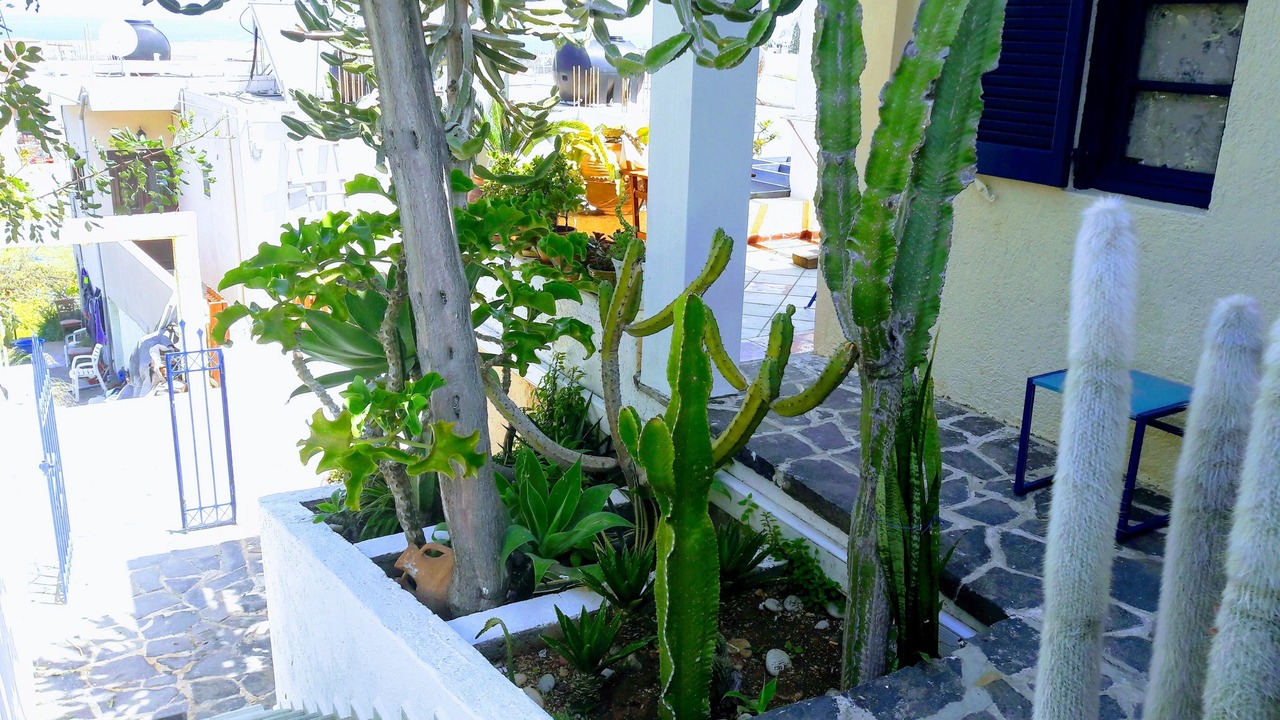 Photo of Outdoor in Sissi