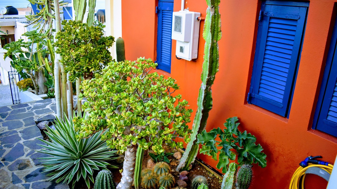 Photo of Outdoor in Sissi