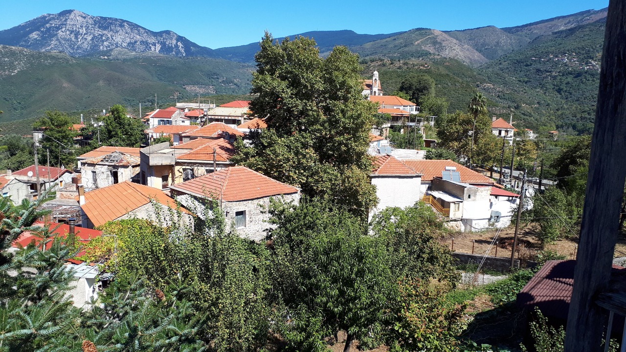 Photo of Outdoor in Artemisia