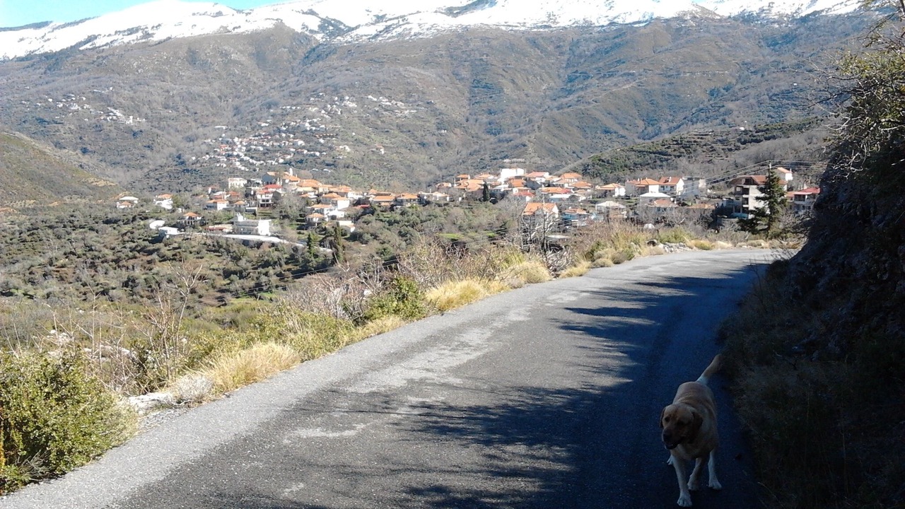 Photo of Outdoor in Artemisia