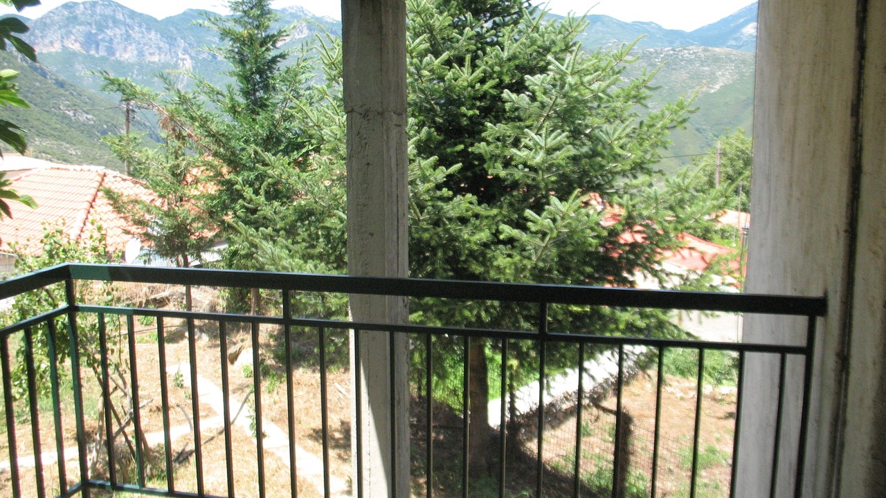 Photo of Outdoor in Artemisia