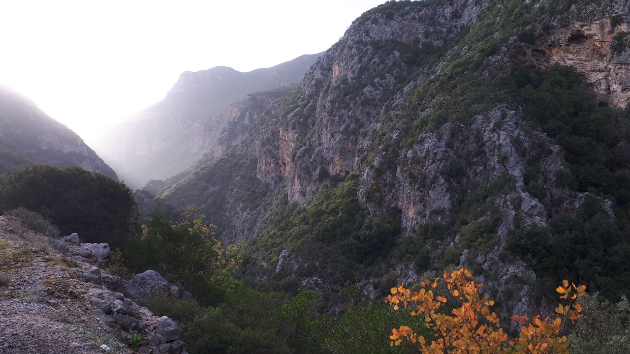 Photo of Outdoor in Artemisia