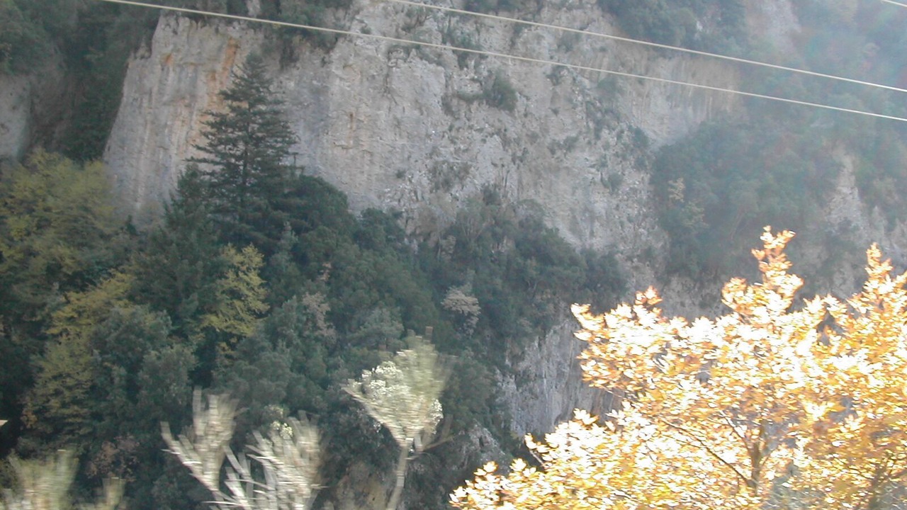 Photo of Others in Artemisia
