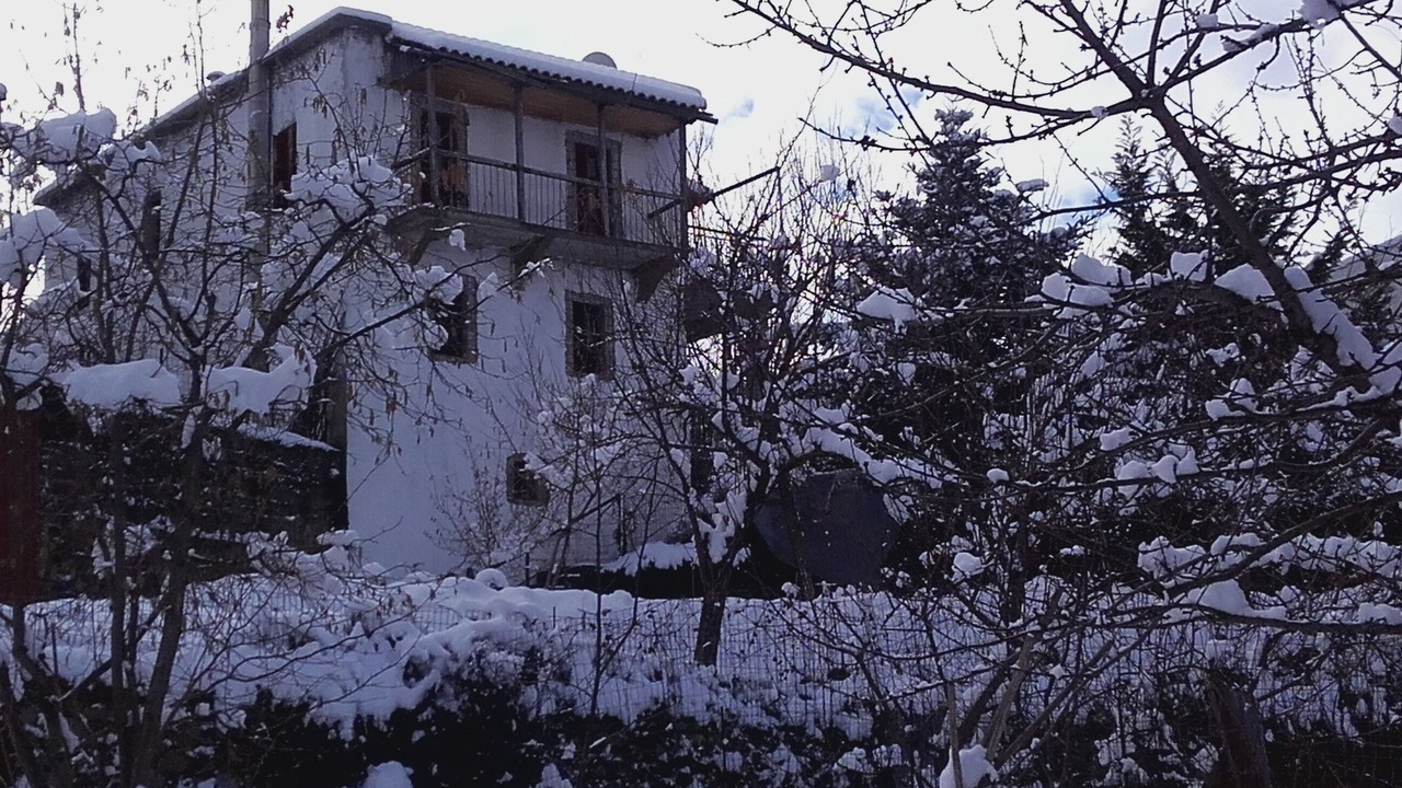 Photo of Outdoor in Artemisia
