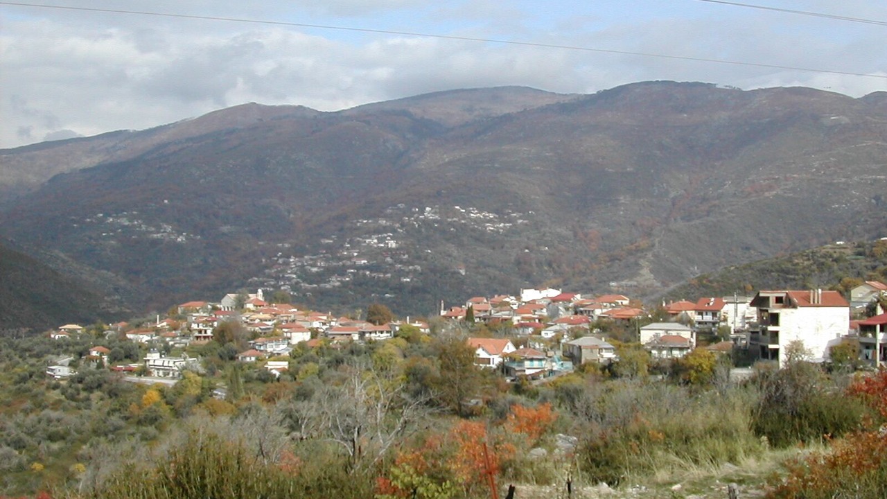 Photo of Others in Artemisia