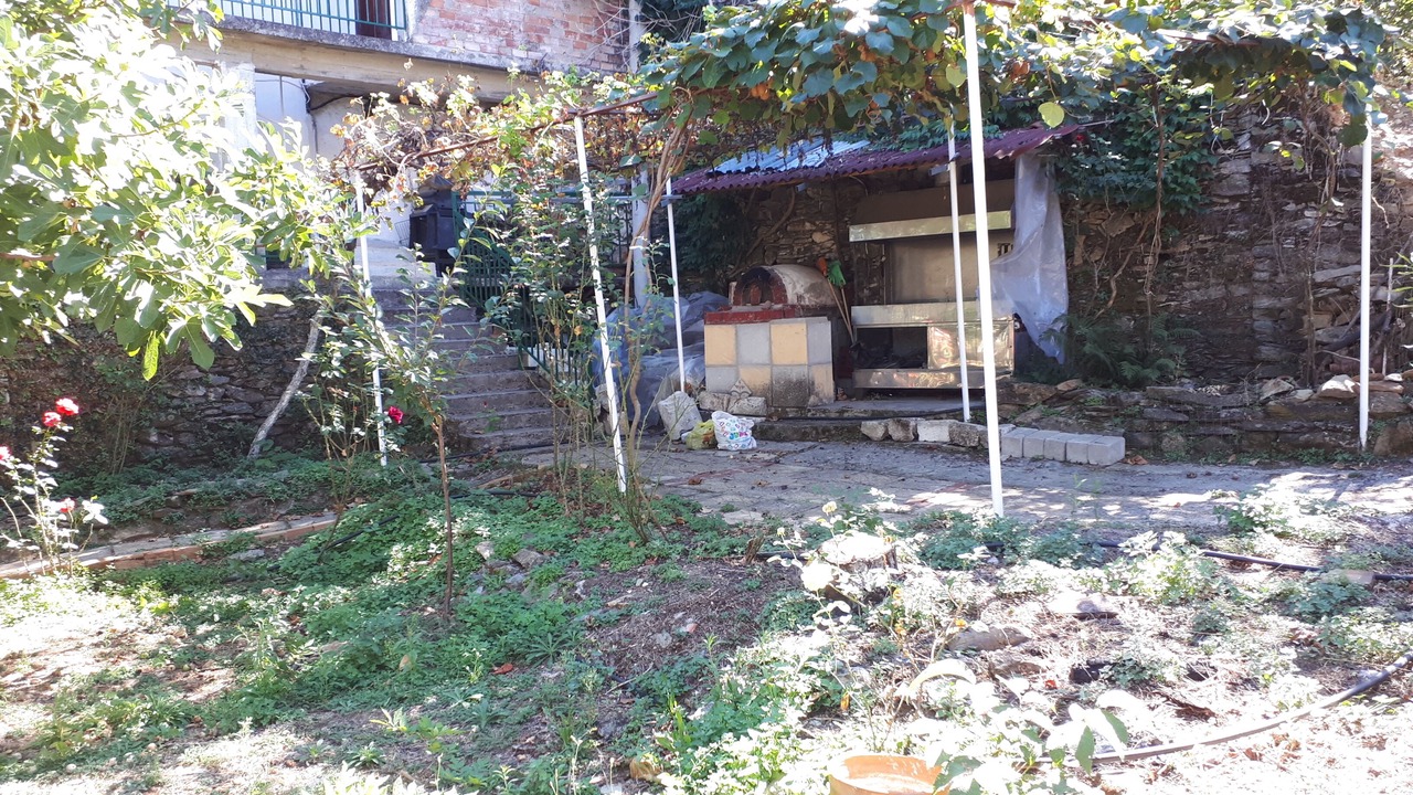 Photo of Outdoor in Artemisia