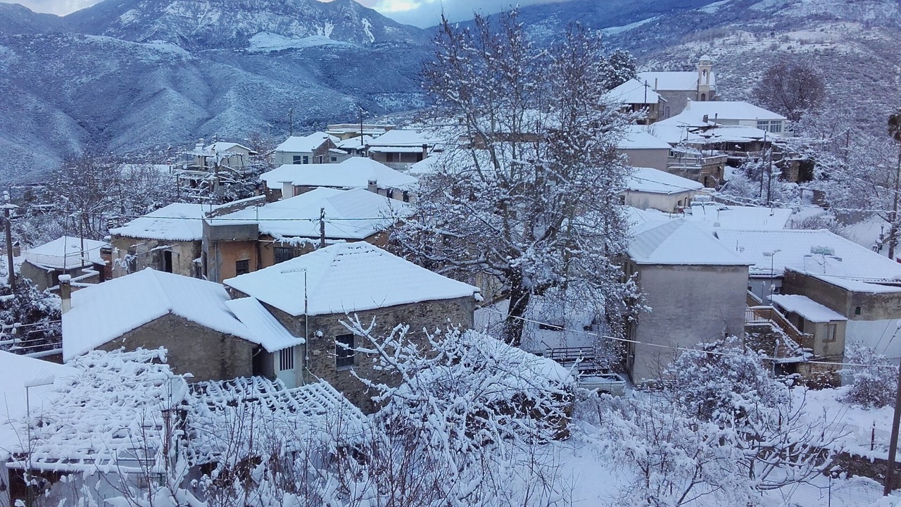 Photo of Outdoor in Artemisia