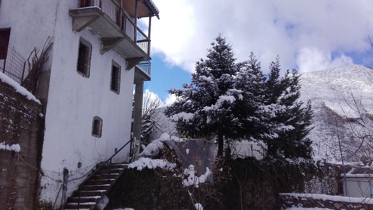 Photo of Outdoor in Artemisia