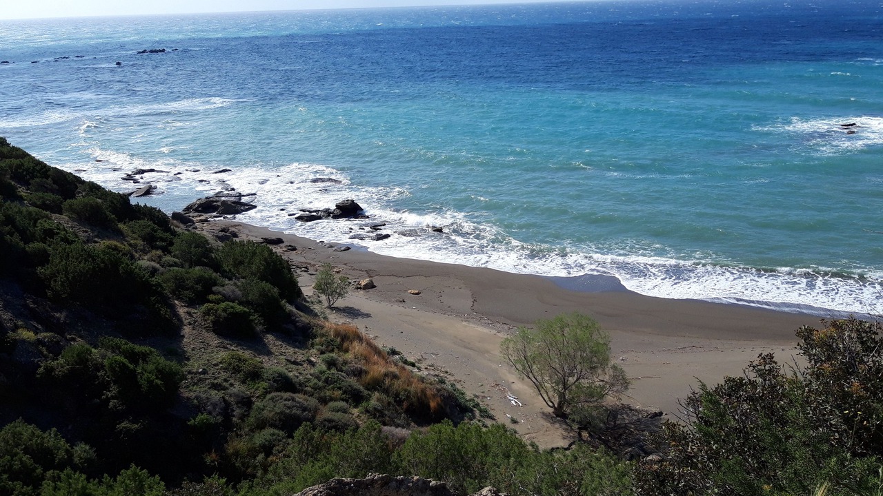 Photo of Others in Minoa Pediada