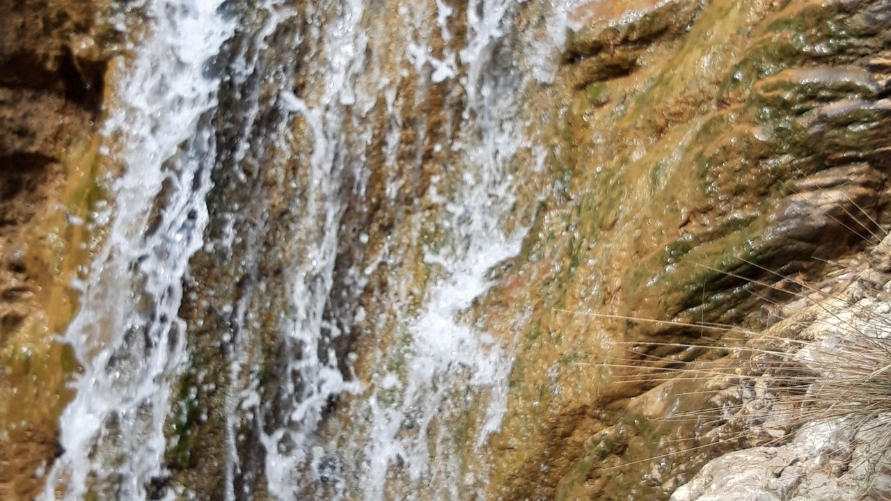 Photo of Others in Minoa Pediada