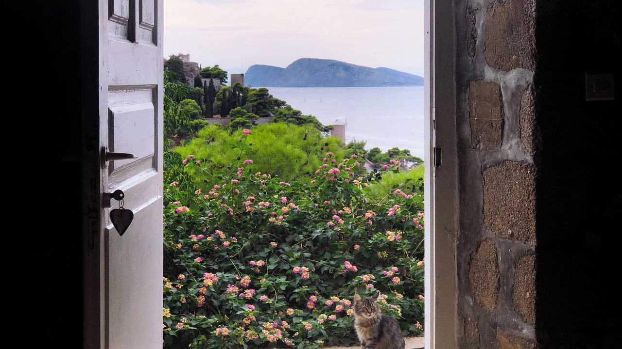 Photo of Others in Hydra