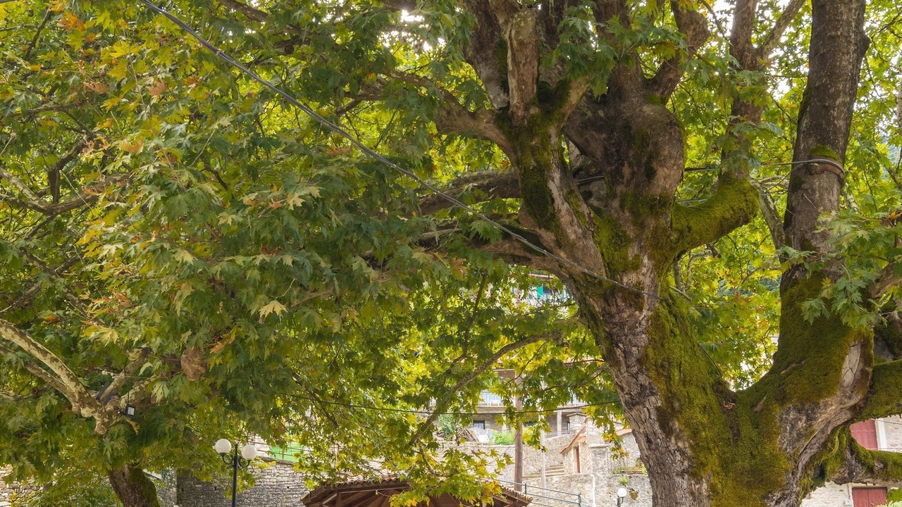 Photo of Outdoor in Mikro Chorio