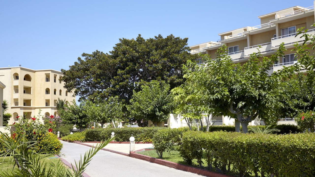 Photo of Outdoor in Ialyssos