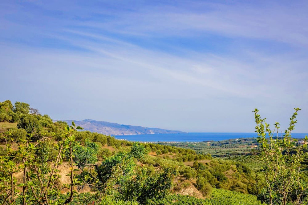 Photo of Others in Platanias