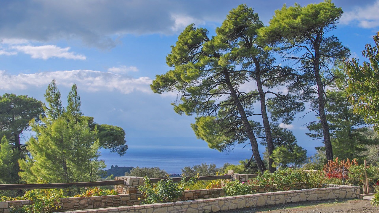 Photo of Outdoor in Nerotrivia
