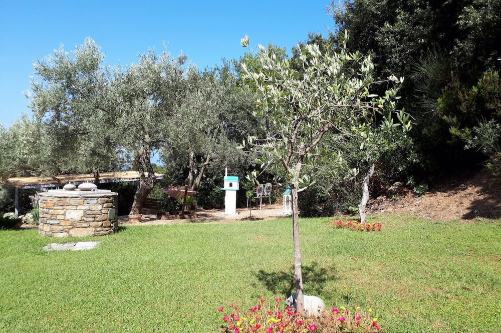 Photo of Others in Skiathos