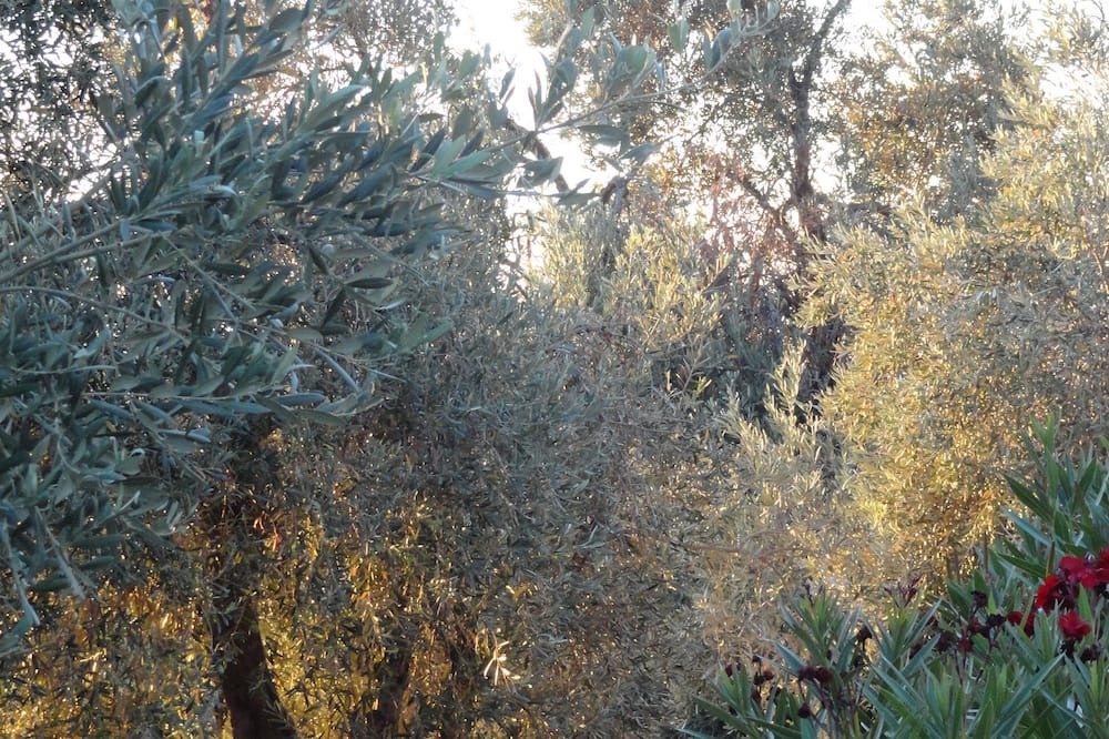 Photo of Others in Skiathos