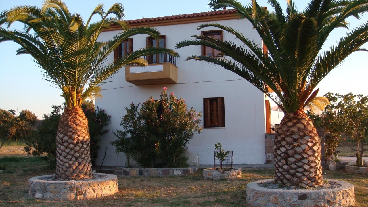 Photo of Outdoor in Eresos-Antissa