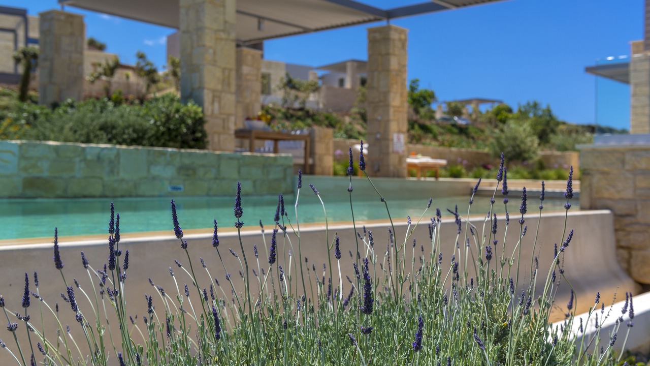 Photo of Others in Kissamos