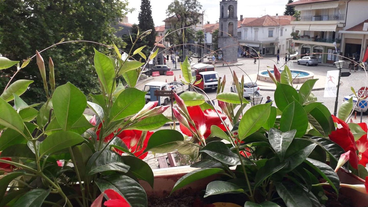 Photo of Others in Dio-Olympos