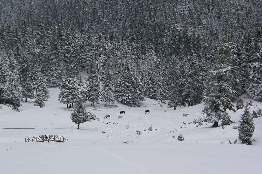 Photo of Others in Elati